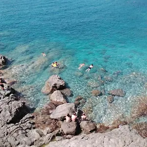 Mimosa , Bonassola Italia